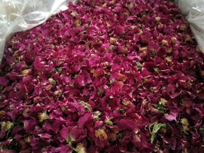 玫瑰花破碎打散篩分生產線