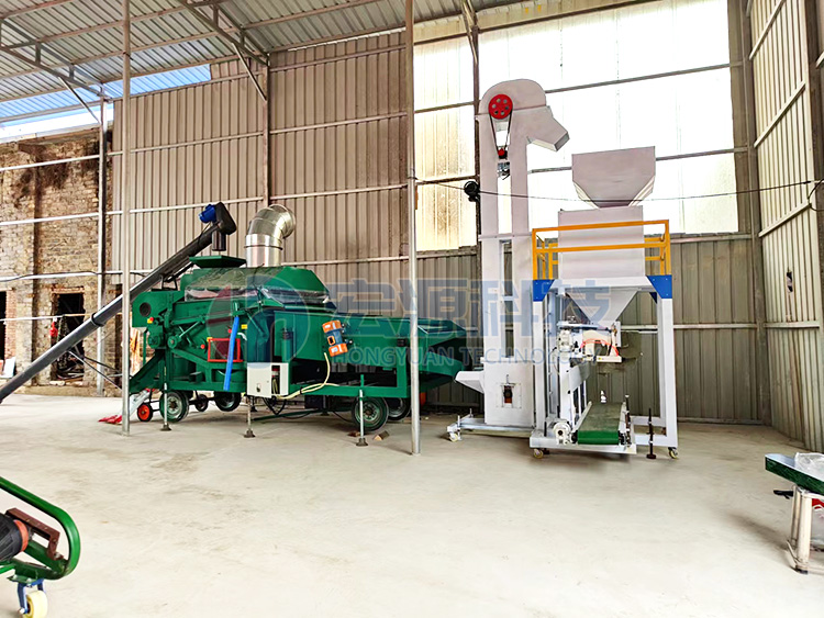 玉米清選篩分定量包裝機